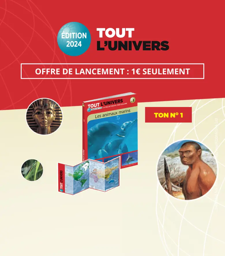 Tout l'Univers - Édition 2024